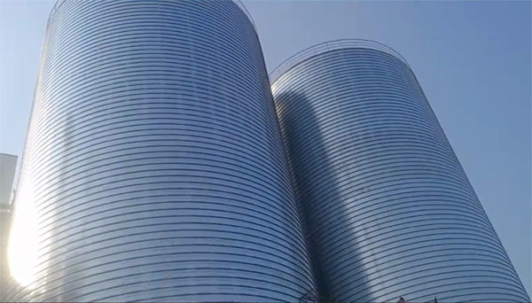 越城2座混凝土高架卷板仓